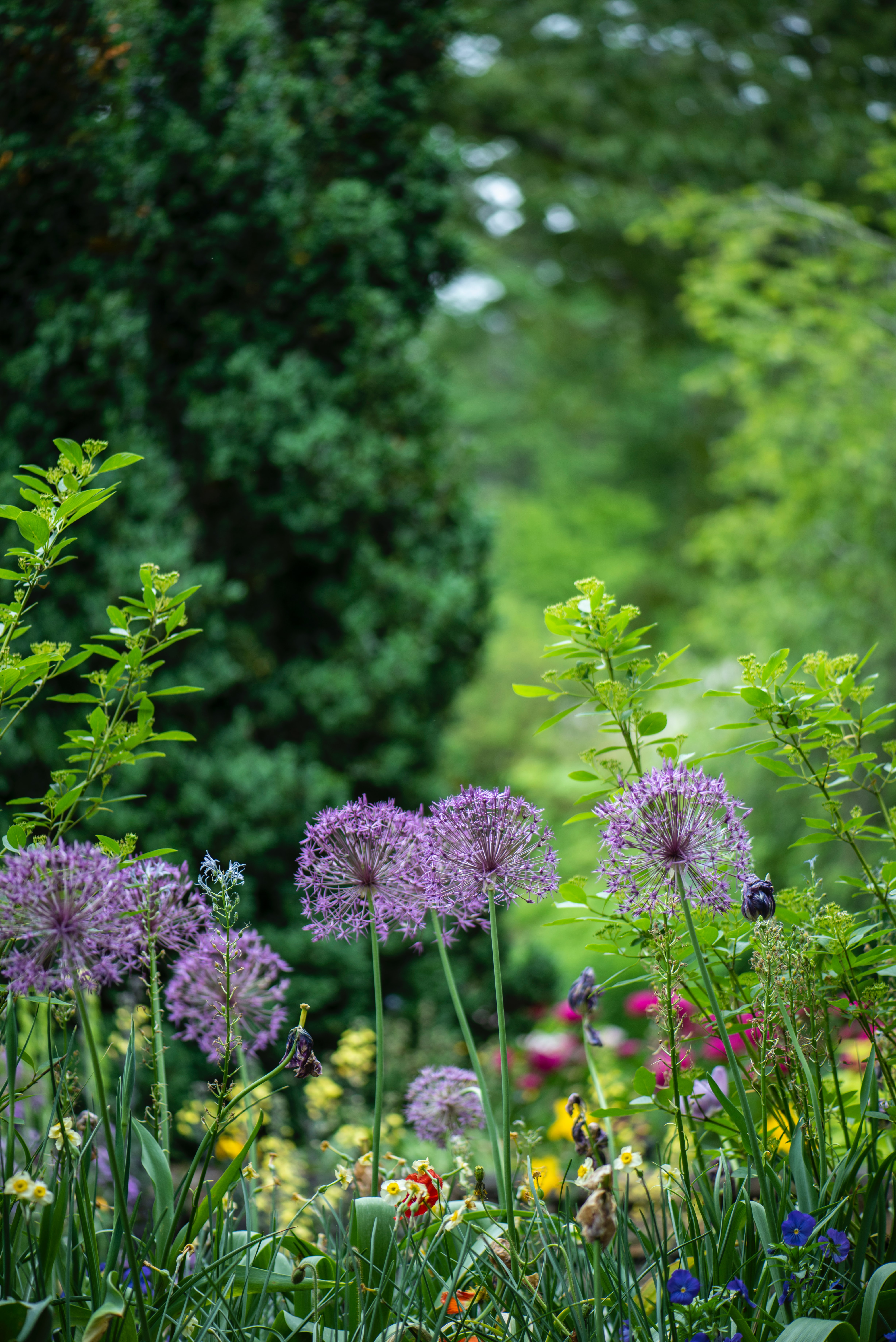 Pflegegarten
